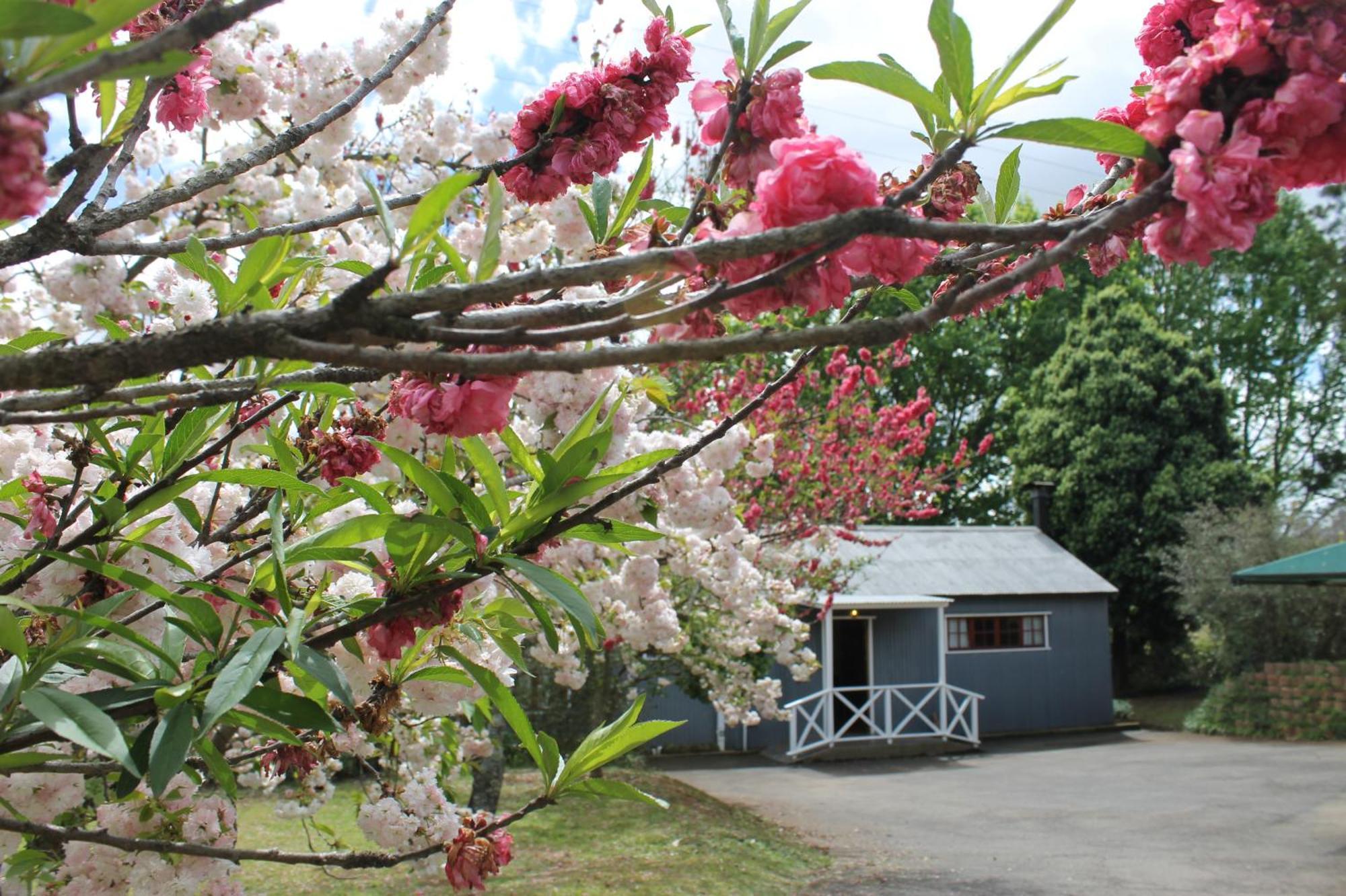 Mill Cottages Lidgetton ภายนอก รูปภาพ
