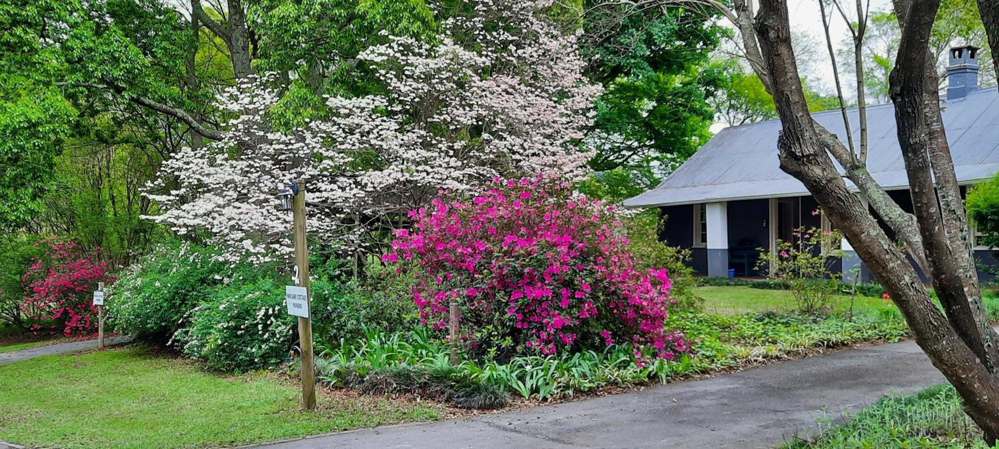 Mill Cottages Lidgetton ภายนอก รูปภาพ